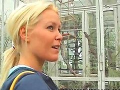 Sophie Moone is taking us to the Zoo