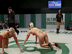 Four steaming hot lesbians are in a wild fight