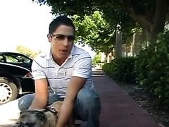 We Owe It To The Dogs