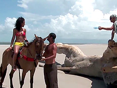 Druuna Diva loves getting fucked in the butt, but going to the beach..