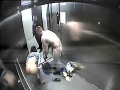 Hot brunette going down on her boyfriend in the elevator