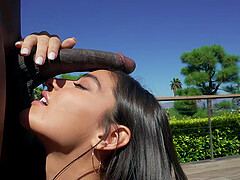 Latina pornstar Emily Willis takes a giant black dick in her holes